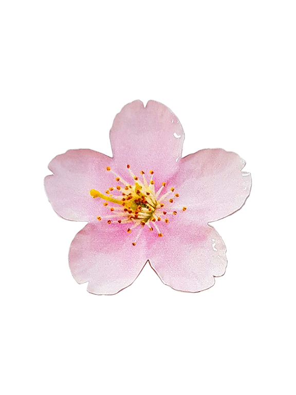 2021 $2 Cherry Blossom Flower-Shaped 1oz Silver Prooflike Coin