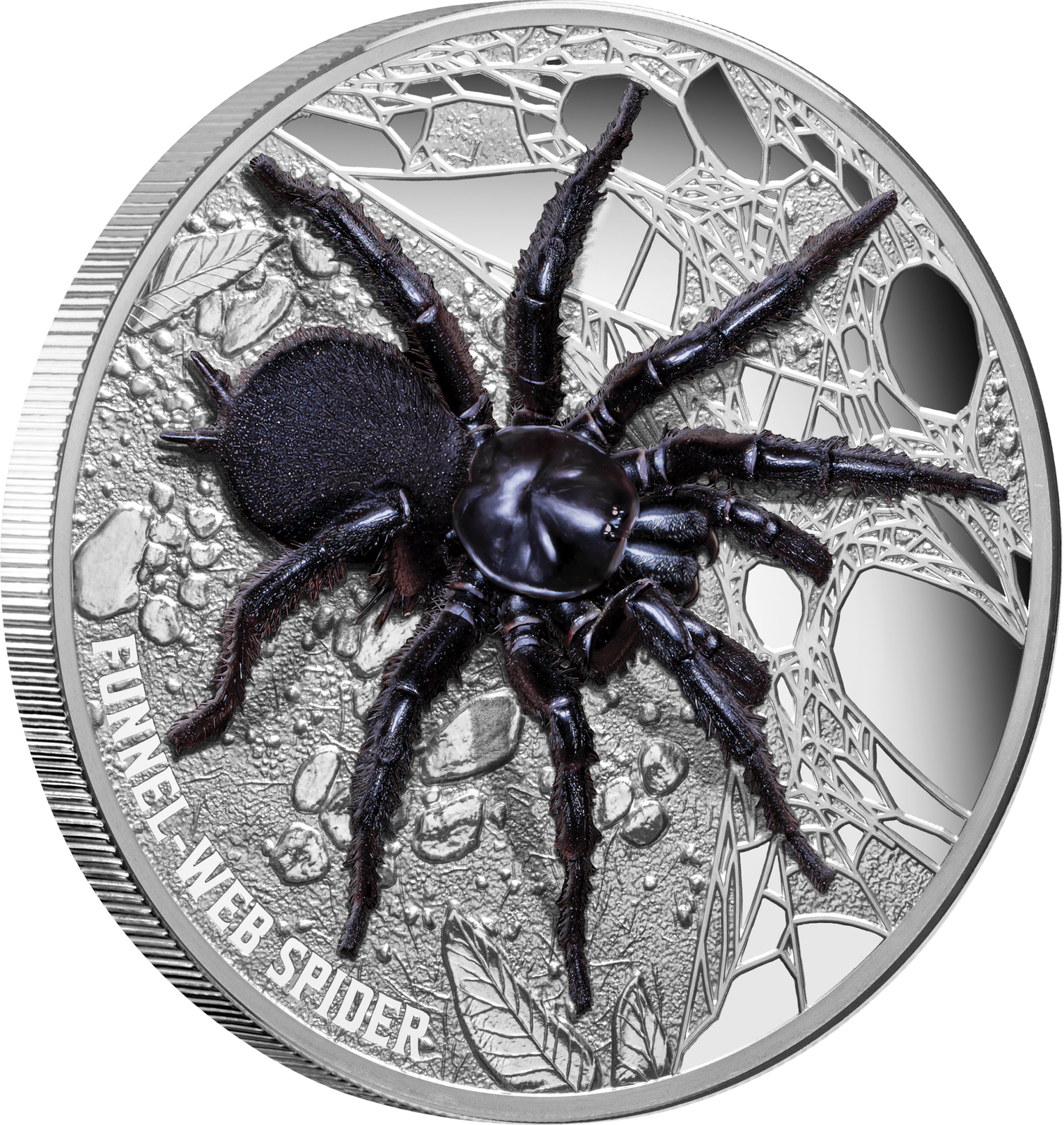 2023 $10 Funnel Web Spider Ultra High Relief 5oz Silver Proof Coin