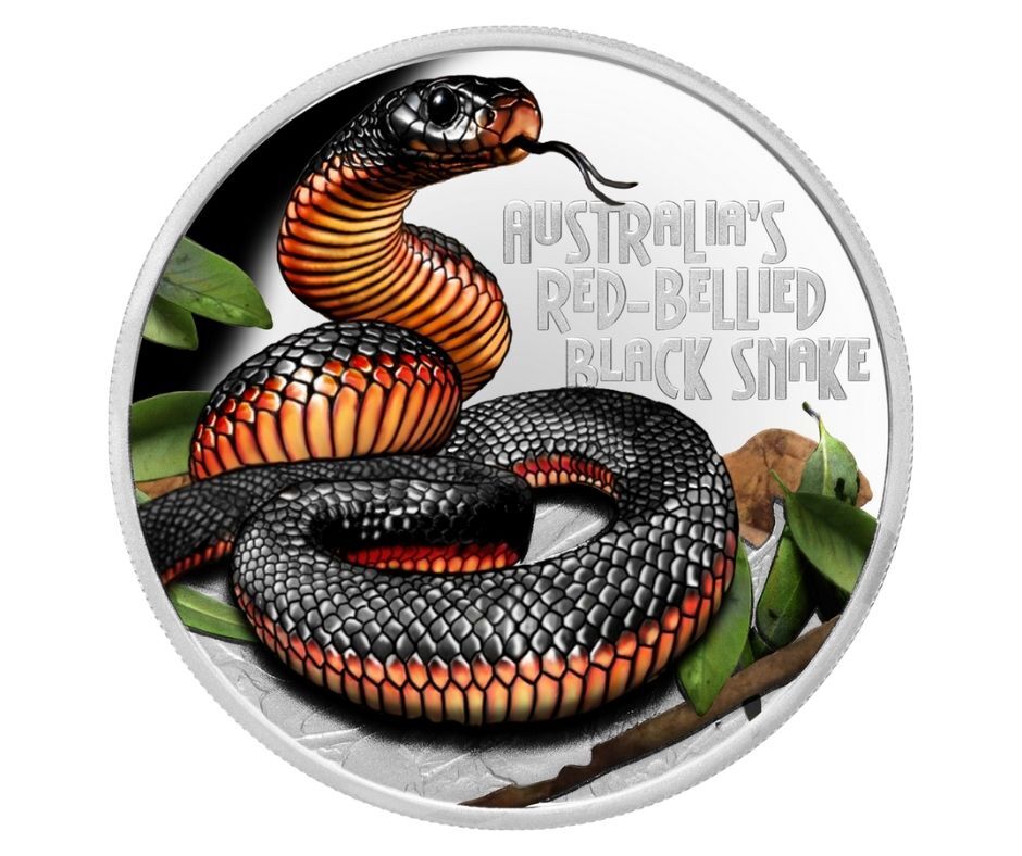2022 Deadly & Dangerous - Red-Bellied Black Snake 1oz Silver Proof