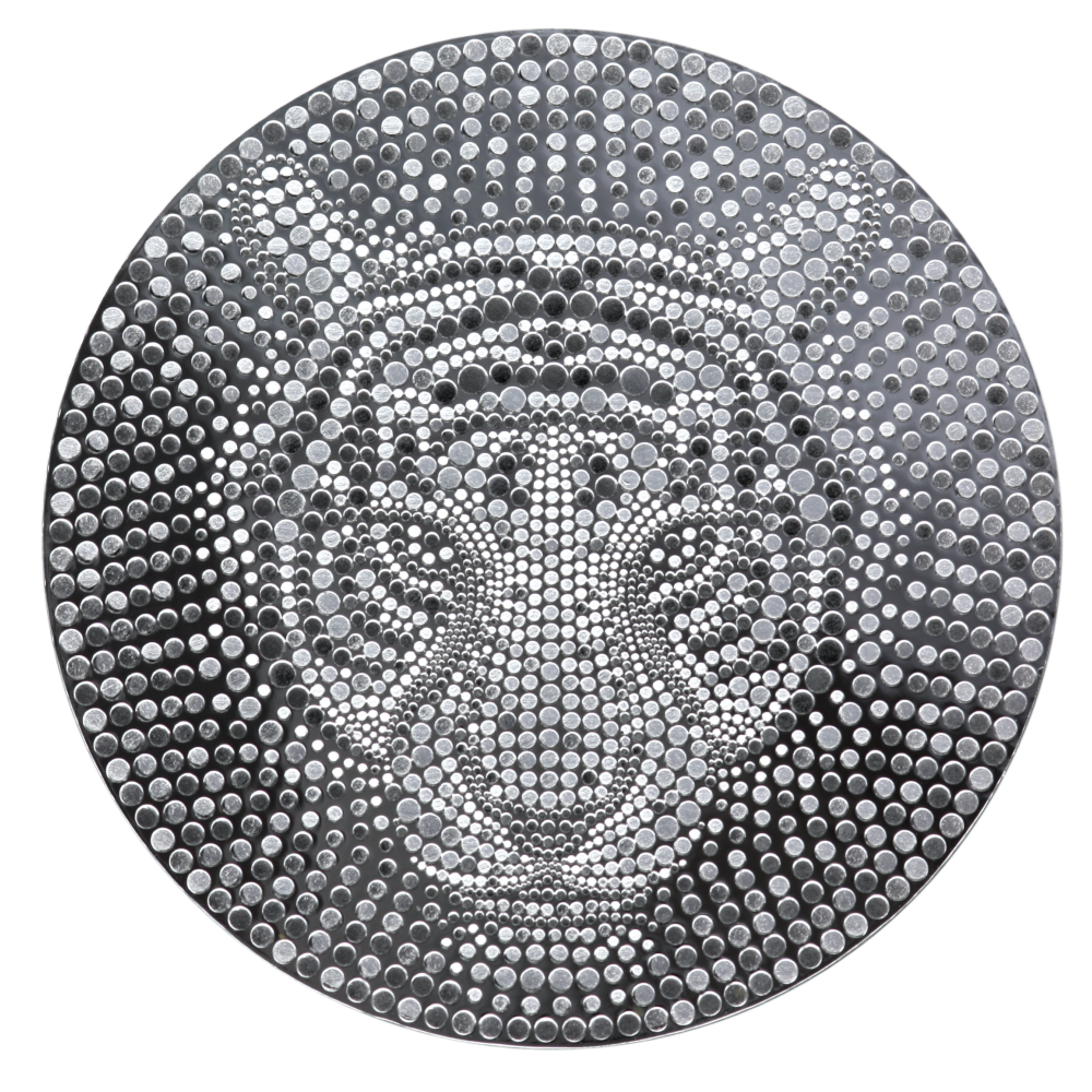 2022 Water Tiger 1/2oz Silver Prooflike Coin
