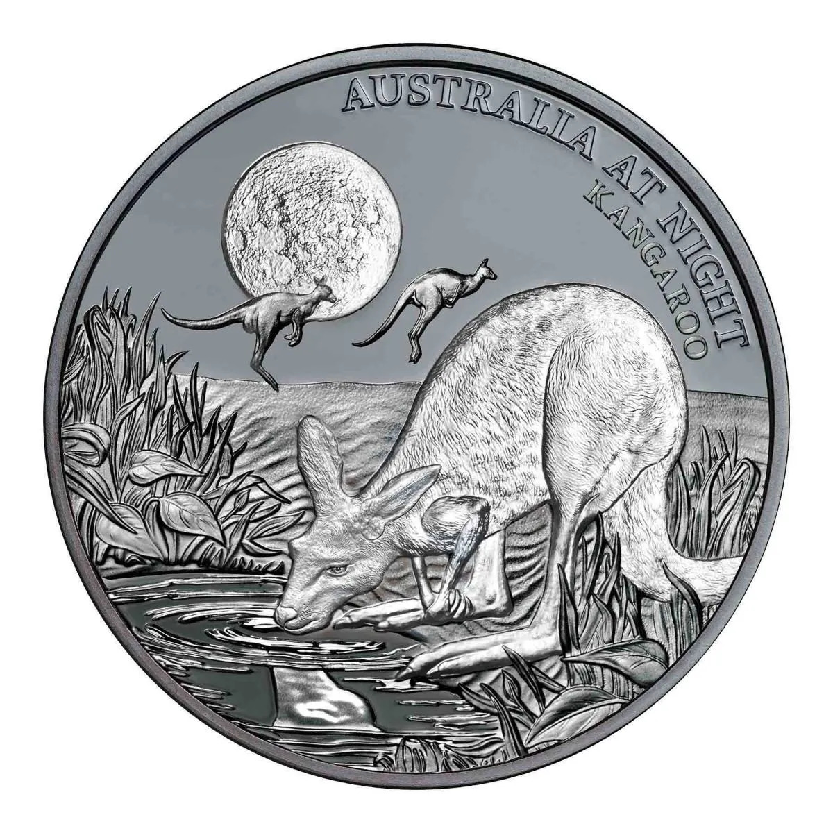2019 $1 Australia at Night Kangaroo 1oz Silver Black Proof Coin