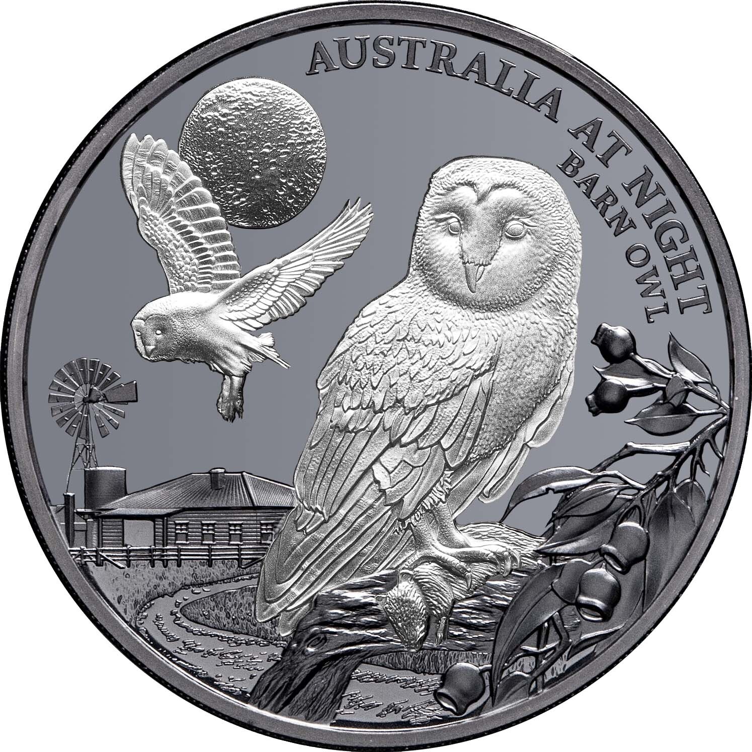 2022 $1 Australia at Night Barn Owl 1oz Silver Black Proof Coin