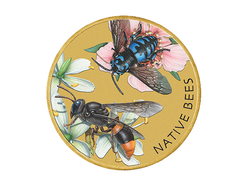 2019 Native Bees PNC