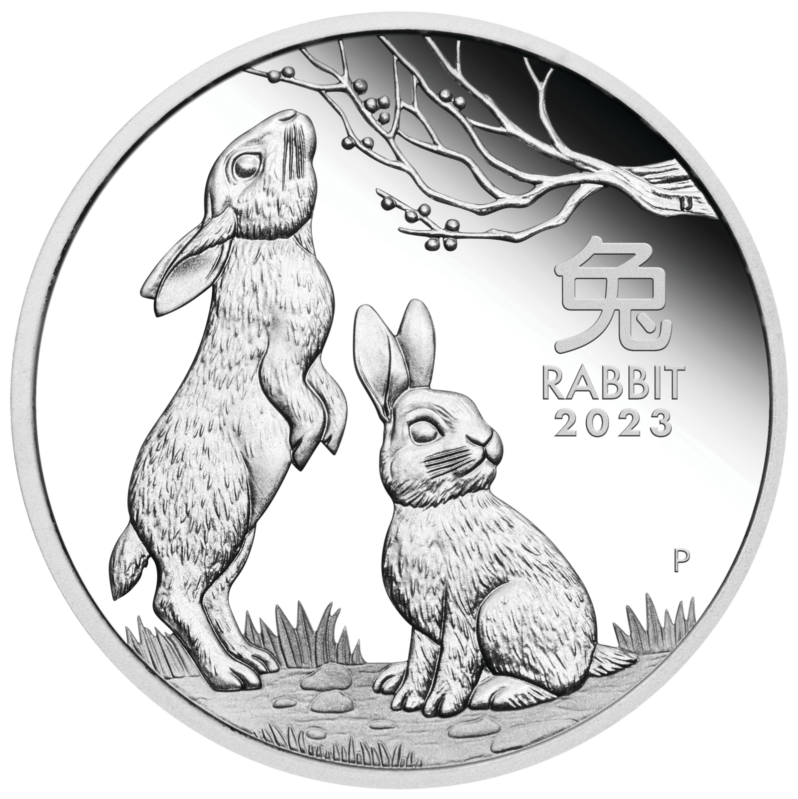 2023 50c Year of the Rabbit 1/2oz Silver Proof Coin