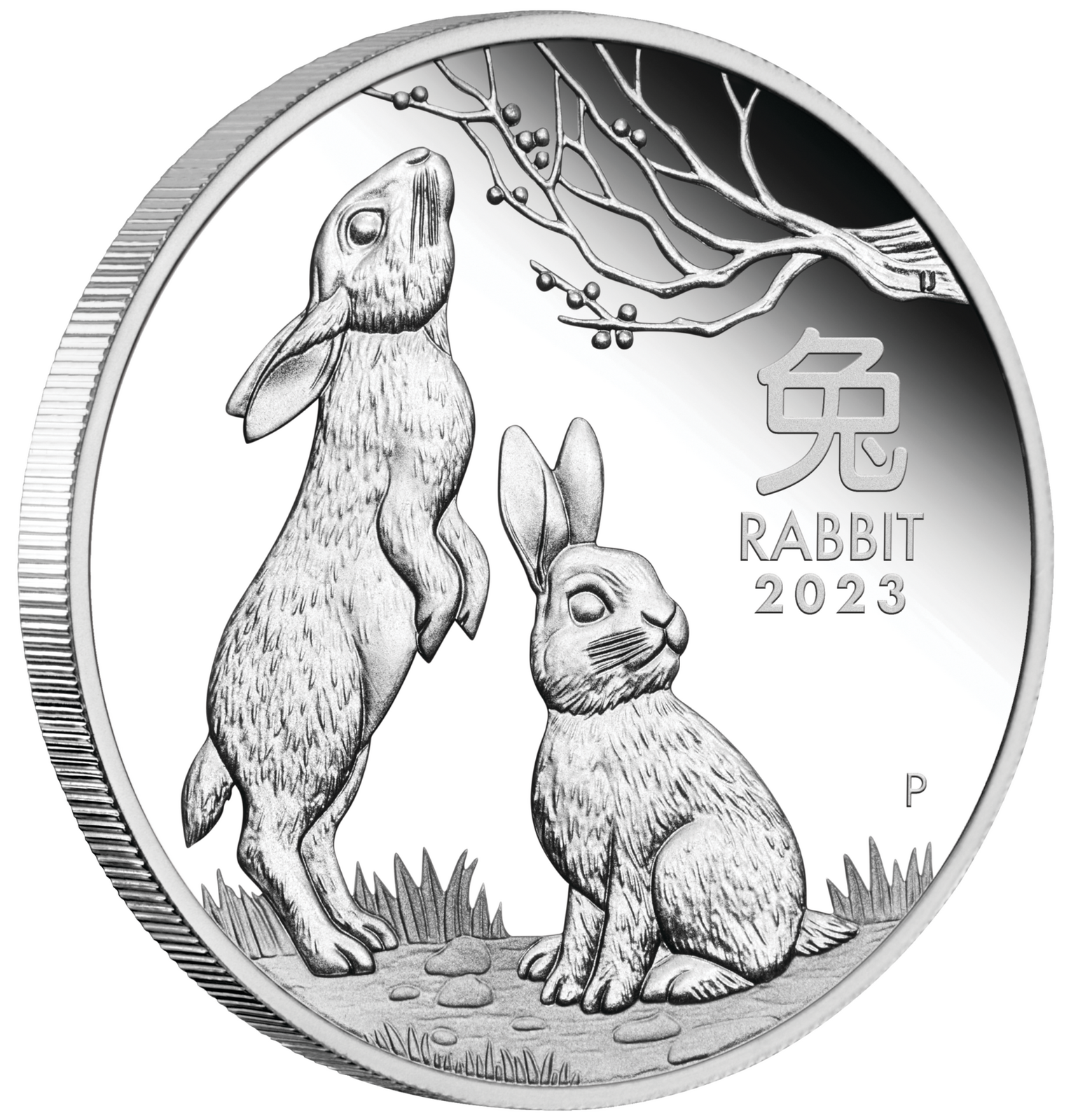 2023 $1 Year of the Rabbit 1oz Silver Proof Coin