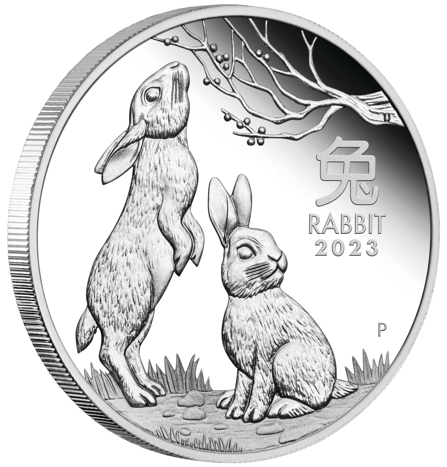 2023 Year of the Rabbit Silver Proof Three Coin Set