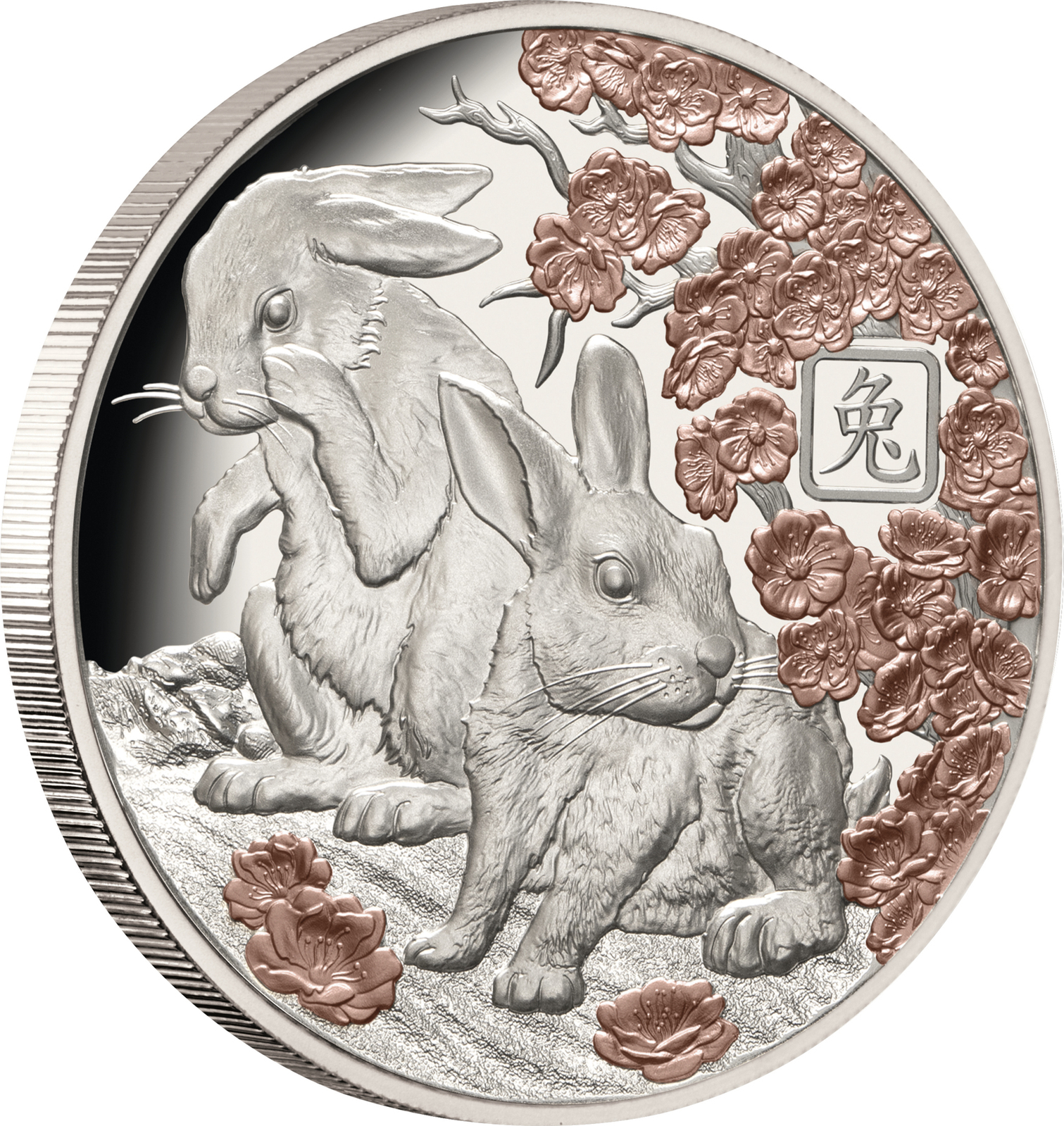 2023 $5 LUNAR YEAR OF THE RABBIT 1oz Rose-Gold Plated Silver Proof 