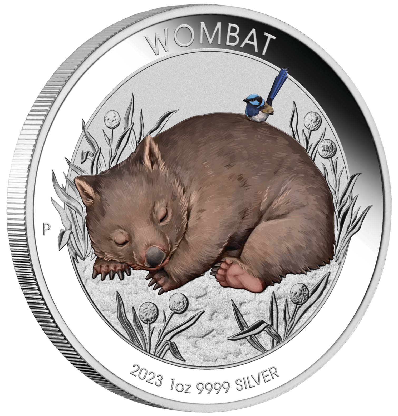 2023 1oz Australian Wombat Silver Coloured Coin in Card