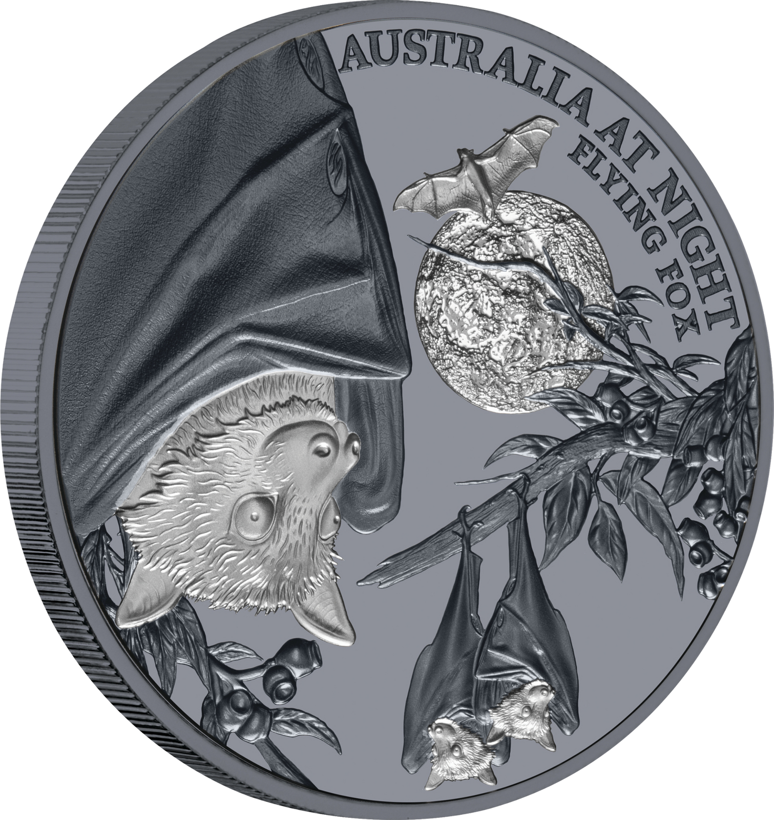 2023 $1 Australia at Night Flying Fox 1oz Silver Black Proof Coin