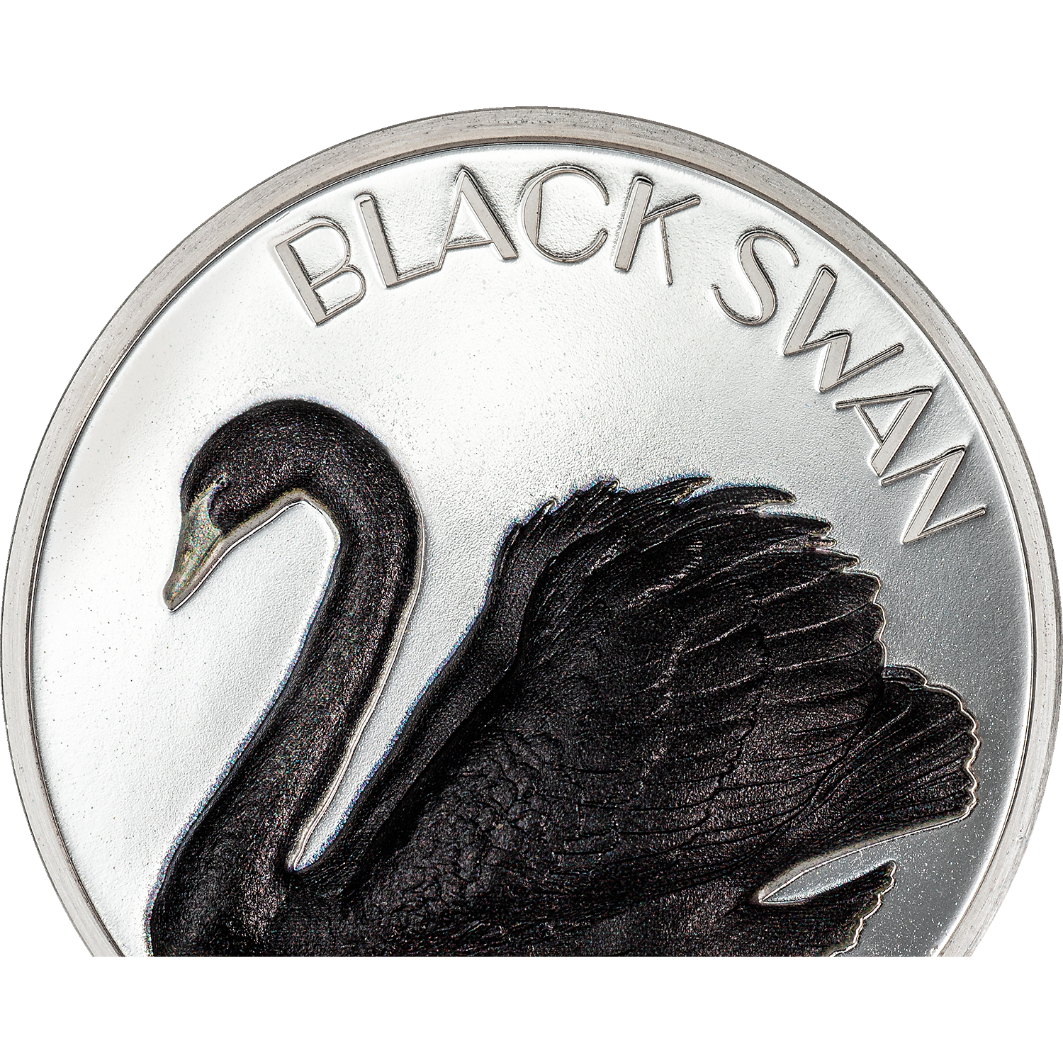 2023 $10 Black Swan 2oz Silver Black Proof Coin