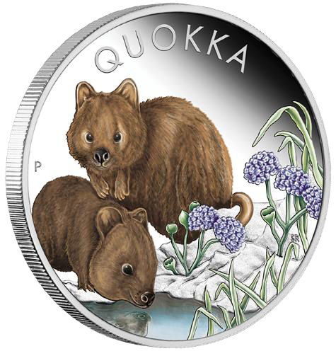 2023 $1 Australian Quokka 1oz Silver Proof Coloured Coin