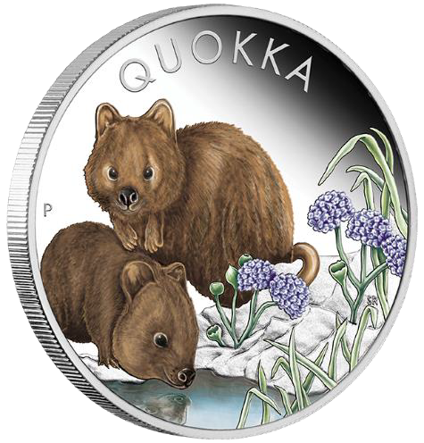 2023 $1 Australian Quokka 1oz Silver Proof Coloured Coin