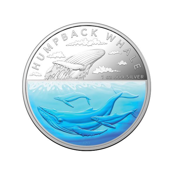  2023 $5 1oz Coloured Silver Proof Coin – Australian Antarctic Territory – Humpback Whale