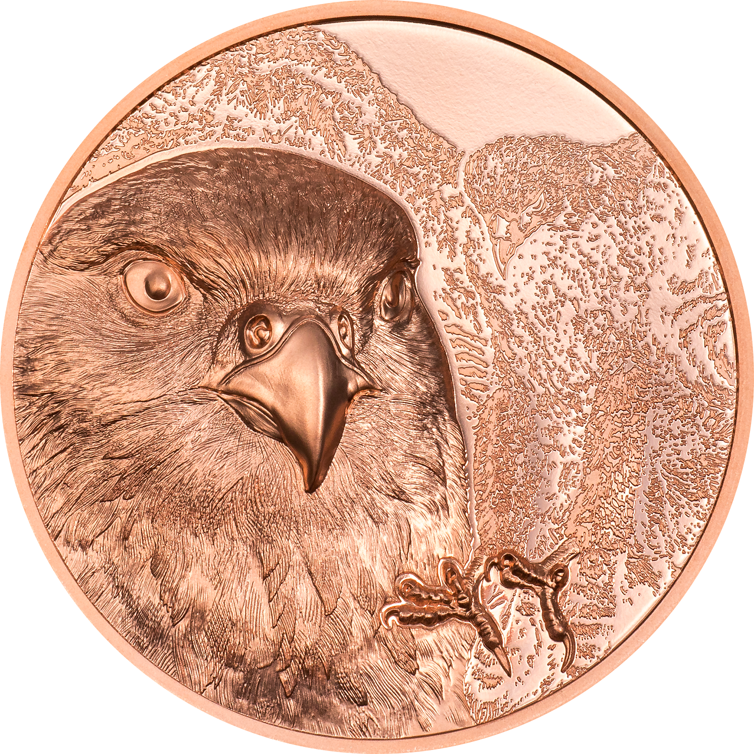2023 Wild Mongolia Falcon 250 Togrog 50g Copper Prooflike Coin