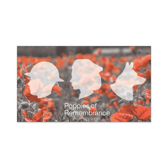 2023 Poppies of Remembrance White Poppy Prestige Badge Cover