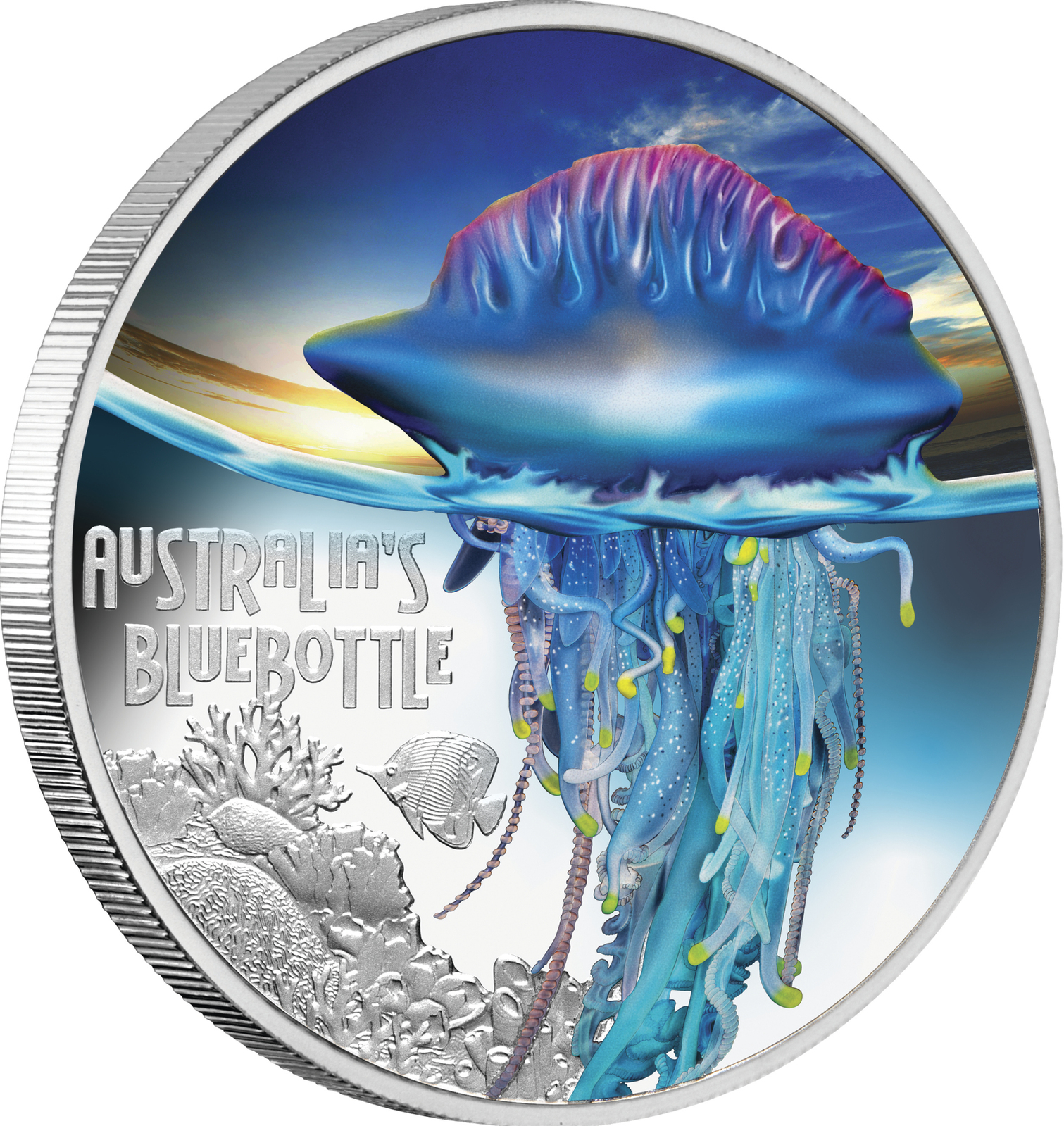 2024 $1 Deadly & Dangerous - Bluebottle  1oz Silver Proof Coin