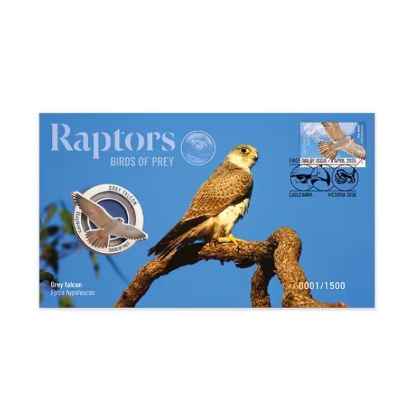 2025 Raptors – Grey Falcon - Birds of Prey PMC