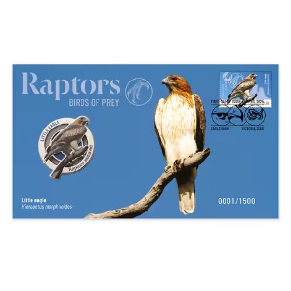2025 Raptors - Little Eagle - Birds of Prey PMC