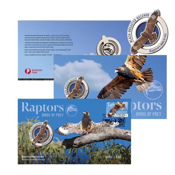 Complete Set - 2025 Raptors Birds of Prey 3 x PMC Combo