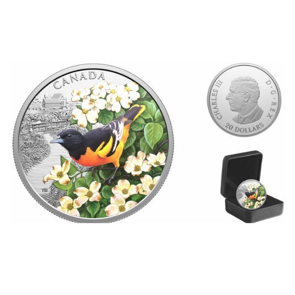 2025 $20 Colourful Birds: Baltimore Oriole 31.39g Coloured Fine Silver Coin 