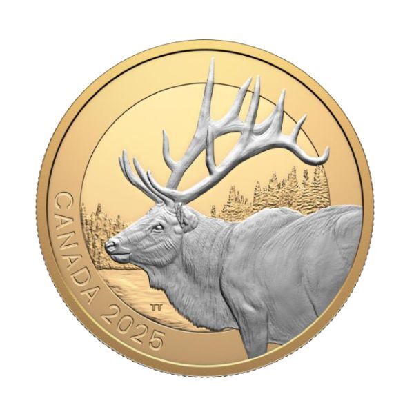 2025 $20 Elk - Animal Portraits  Fine Silver Coin  