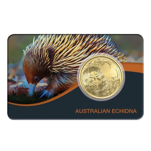 2013 $1 Echidna Australia Bush Babies  Aluminium-Bronze Uncirculated Coin  Pack 