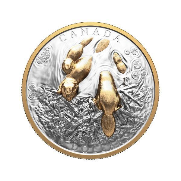 2025 $50 The Beaver - Canadian Symbol 3 1/4 Oz Extraordinarily High Relief  Fine Silver Proof Coin 