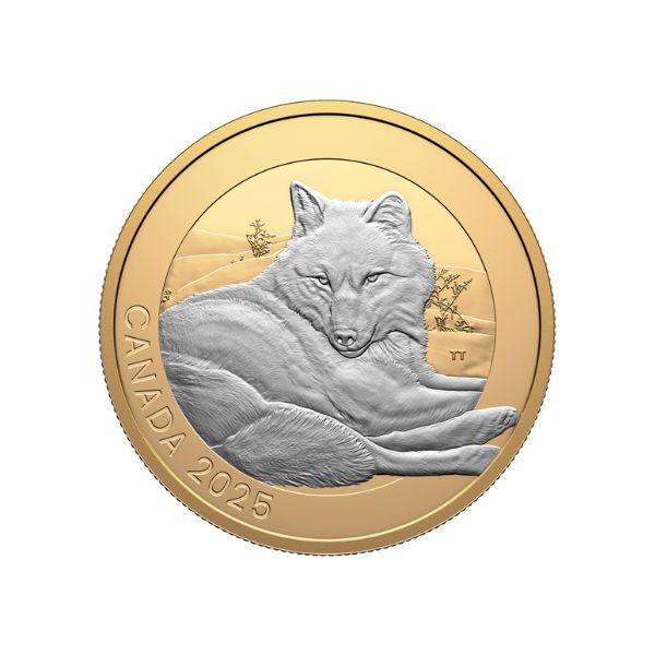 2025 $20 Grey Wolf - Animal Portraits Selectively Gold Plated 1 Oz Fine Silver Coin