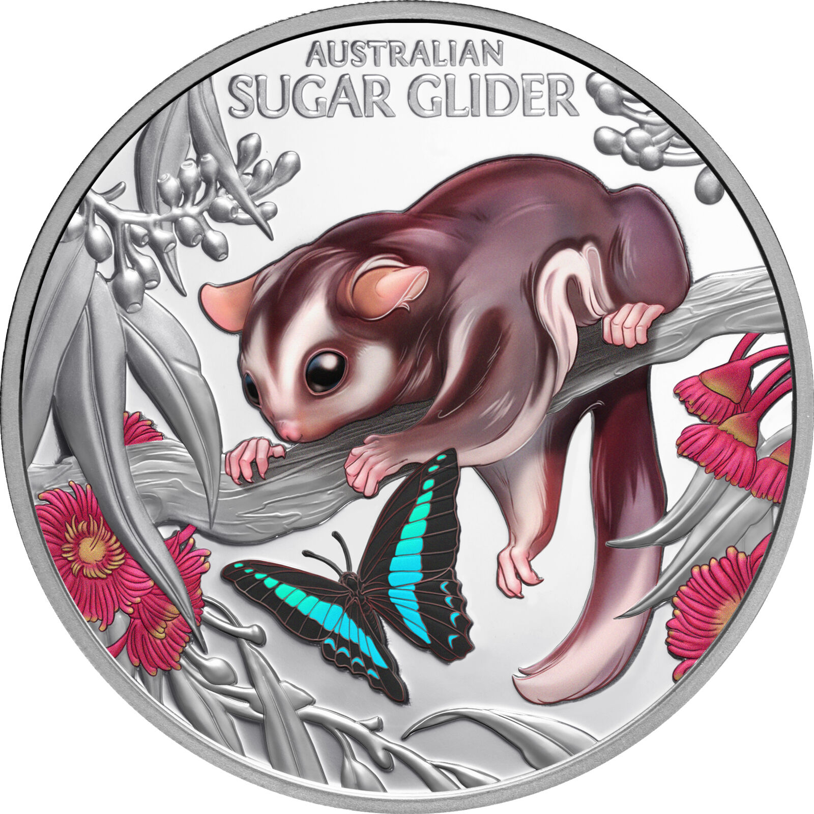 2026 $1 Baby Sugar Glider 1 Oz Coloured Silver Proof Coin