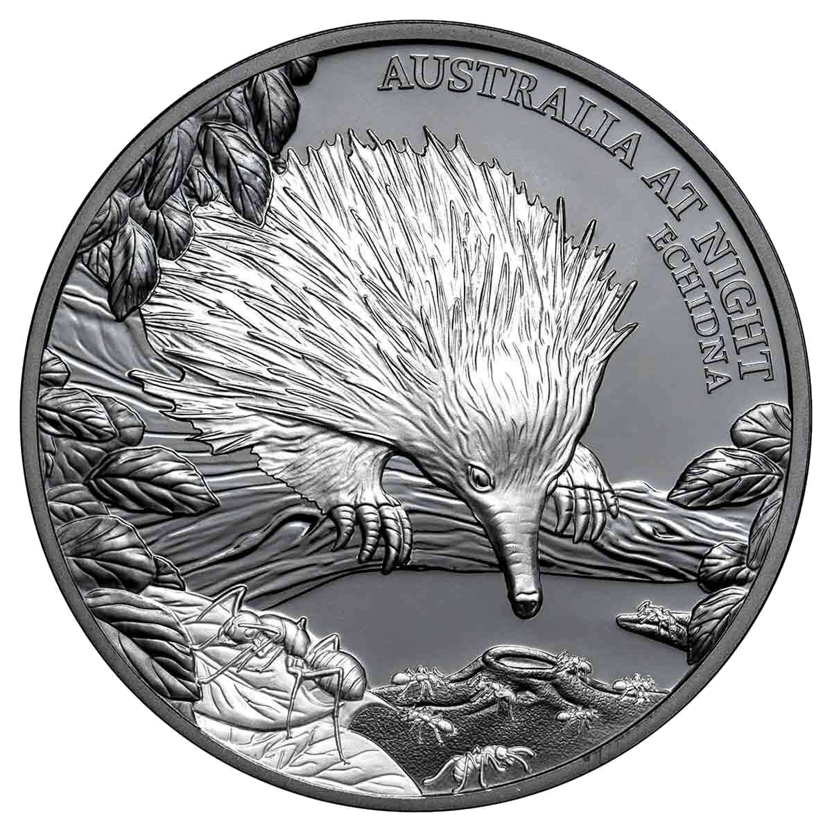 2020 $1 Echidna Australia at Night 1oz Silver Black Proof Coin