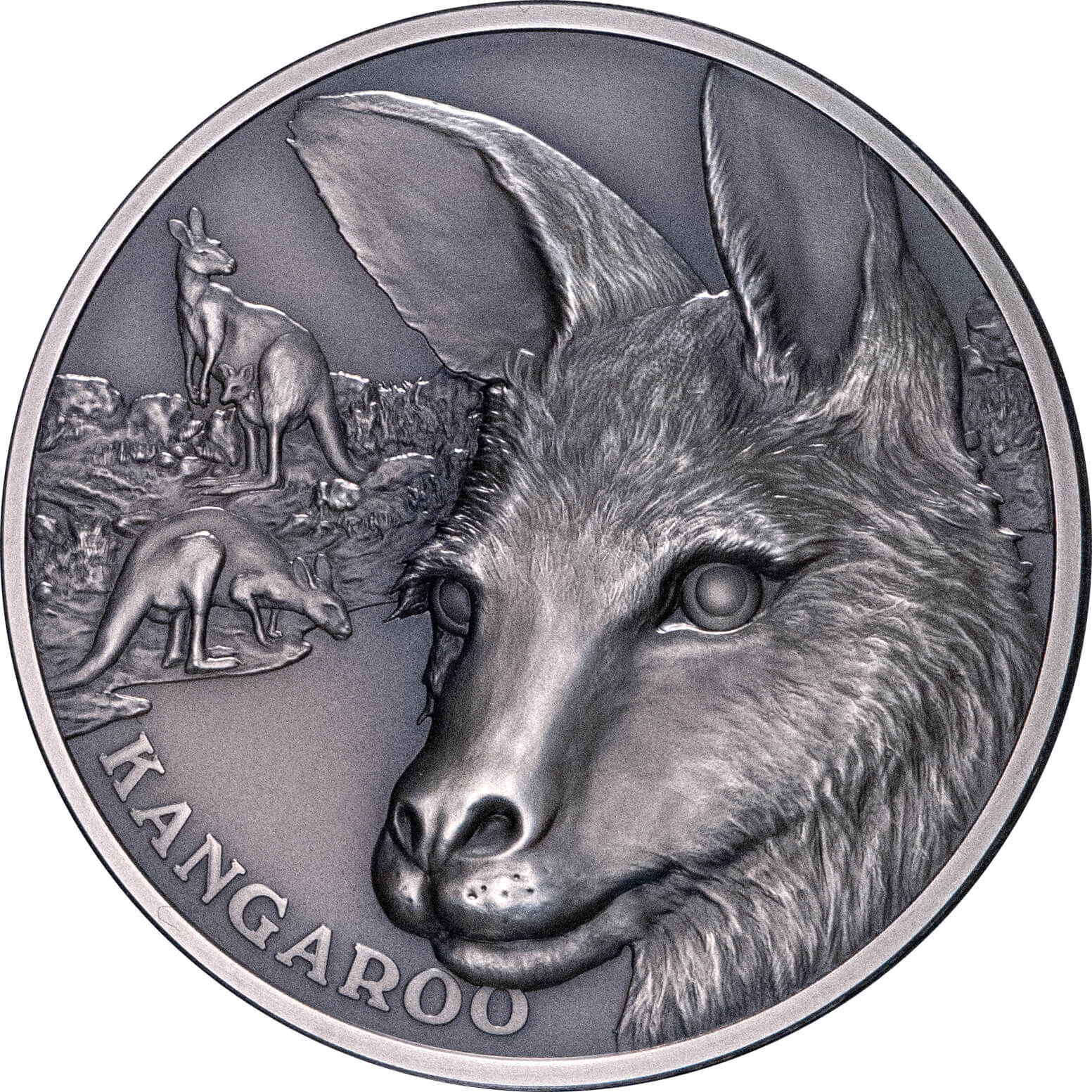 2021 $1 Kangaroo 1oz Silver Antique Coin