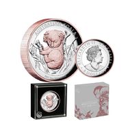 2021 $8 Koala Pink Gold-Gilded 5oz Silver High Relief Proof Coin