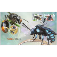 2019 Native Bees PNC