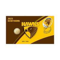 2023 Hawthorn AFL PNC