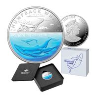  2023 $5 1oz Coloured Silver Proof Coin – Australian Antarctic Territory – Humpback Whale