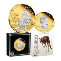 2023 $2 Australian Kangaroo 2oz Silver Reverse Gilded Coin