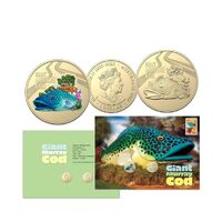 2023 Aussie Big Things Giant Murray Cod Coloured and Standard Coin PNC (Double Coin)