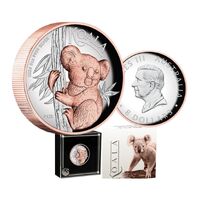 2024 $8 Australian Koala 5 Oz Silver Proof High Relief Gilded Coin