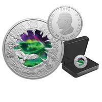 2025 $30 Magic of the Northern Lights 2 Oz Fine Silver Coin 