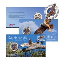 2025 Raptors - Black-breasted Buzzard - Birds of Prey PMC