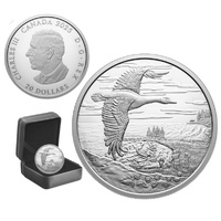 2025 $20  Interconnected Nature Fine Silver Coin 