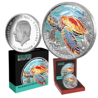  2025 $5 Green Sea Turtle - Nature’s Window  Coloured 2oz Silver Proof Coin