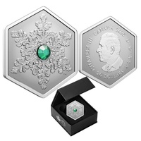 2025 $20  Snowflake 1 Oz Fine Silver Coin 