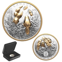 2025 $50 The Beaver - Canadian Symbol 3 1/4 Oz Extraordinarily High Relief  Fine Silver Proof Coin 