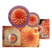2026 Dahlias Australian Cultivars PMC
