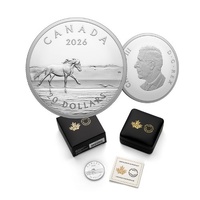 2026 $20 Sable Island Horses - 31.89g Fine Silver Coin 