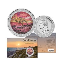 2026 Sundowner - Red Kangaroo 1oz Silver Coloured Coin in Card