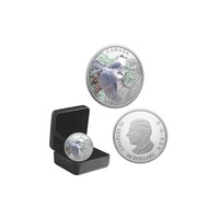 2026 $20 Canada Jays - Colourful Birds Fine Silver Coin