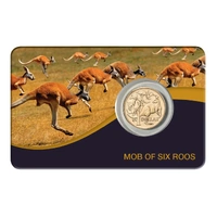 2026 $1 Mob Of Six Roos - 60th Anniversary Of Decimal Currency Issue Coin Coin Pack