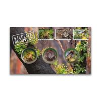 2020 Wildlife Recovery Triple Medallion PMC